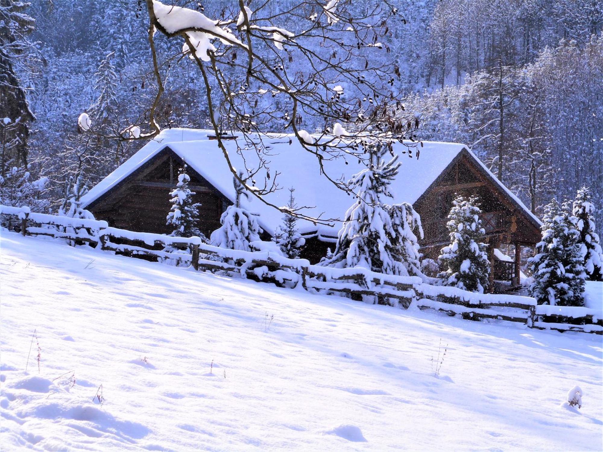 Penzion Ve Srubu Horni Radechova Hotel Exterior photo