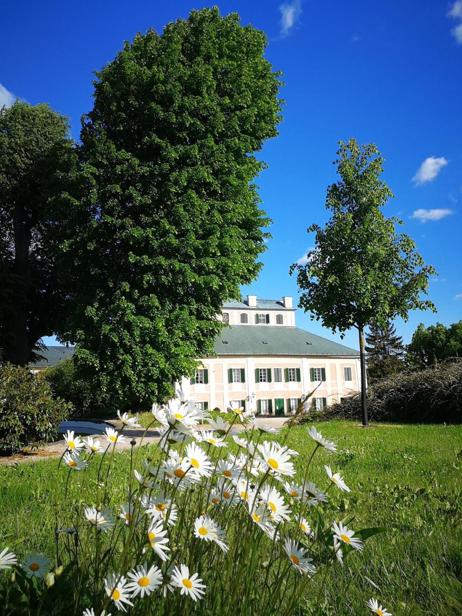 Penzion Ve Srubu Horni Radechova Hotel Exterior photo